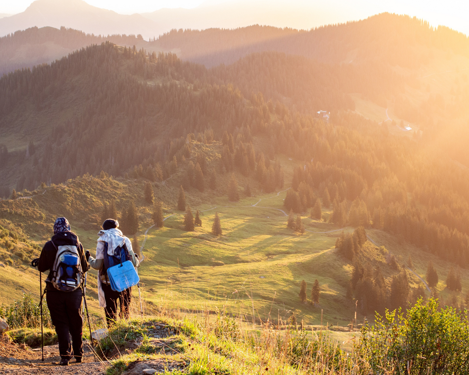 Creative Ways to Enjoy Smoked Nuts This Summer